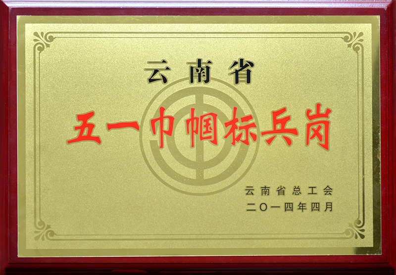 2014年—云南省五一巾幗標兵崗