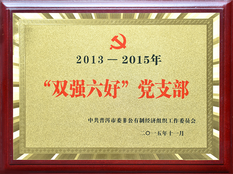 2015年—“雙強六好”黨支部